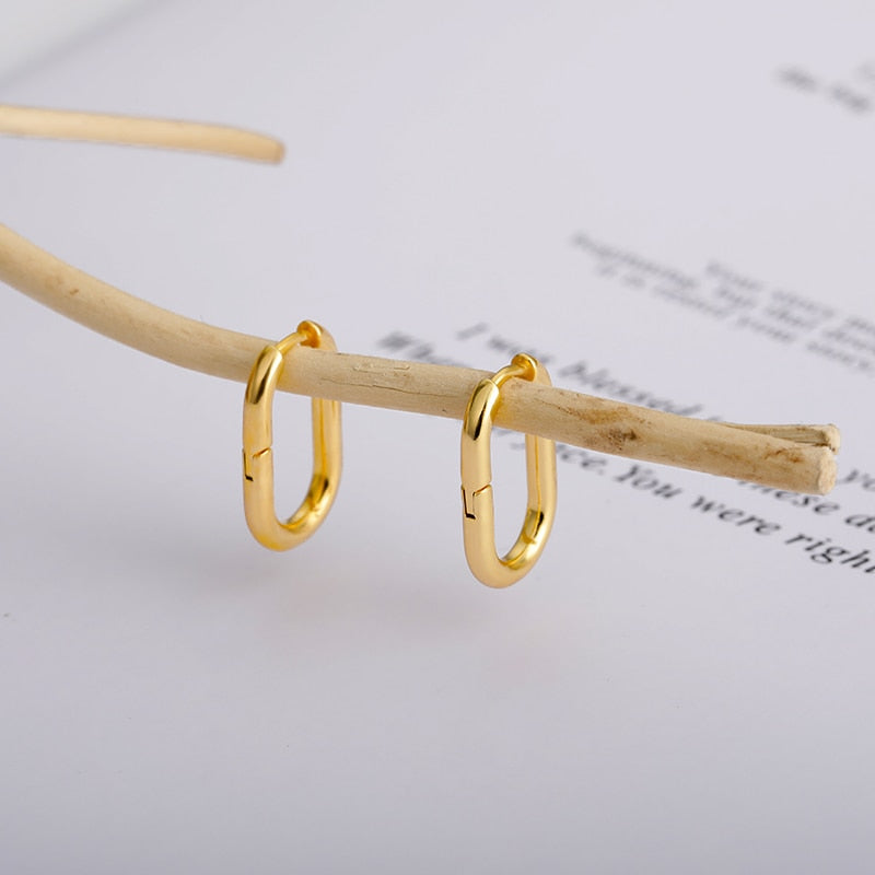18K Gold plated Oval Hoop Earrings hanging from tree twig.